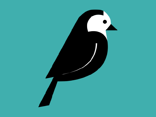 cover-upgrading-wagtail.png